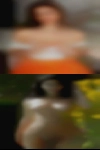 Swingers chat room